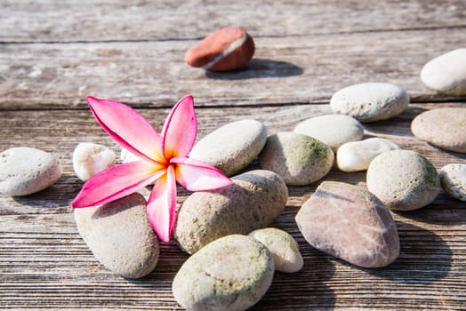 frangipani flower  and stone  on old wood