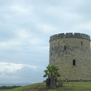 Castle on a hill with a horse