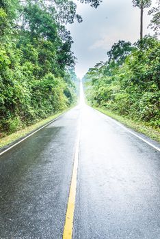 wet road in thailand