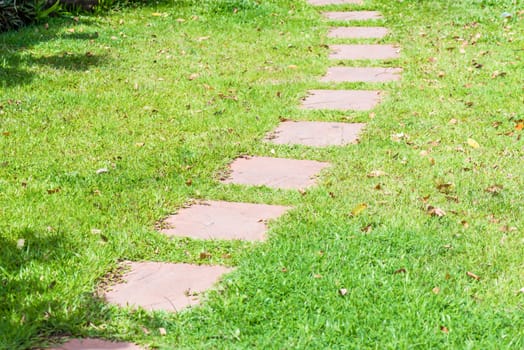 footpath made from stone on green grass in the garden