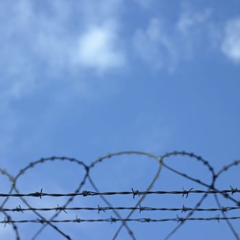 barbed wire fence and cloudy blue sky