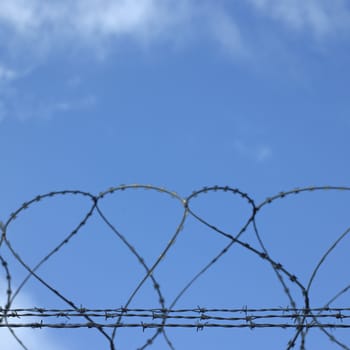 barbed wire fence and cloudy blue sky