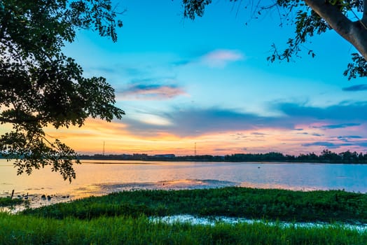 Sunset Landscape with Clouds and Tree