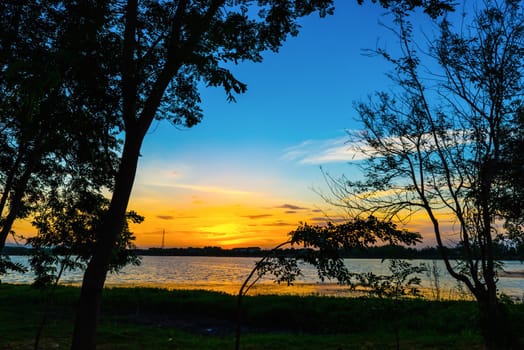 Sunset Landscape with Clouds and Tree