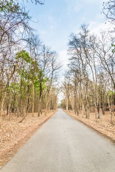 Road in Sukhothai ruin old city