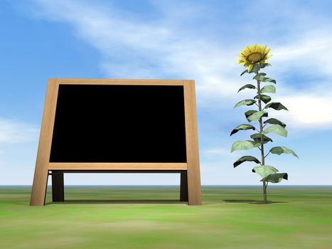 Blackboard upon grass with sunflower by beautiful day - 3D render