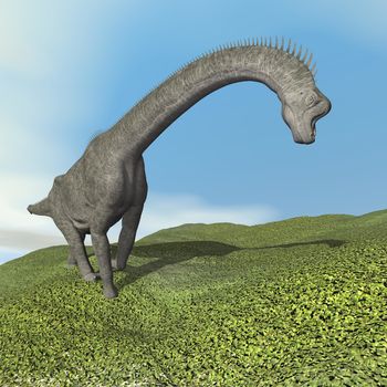 Brachiosaurus dinosaur walking on the grass by day - 3D render