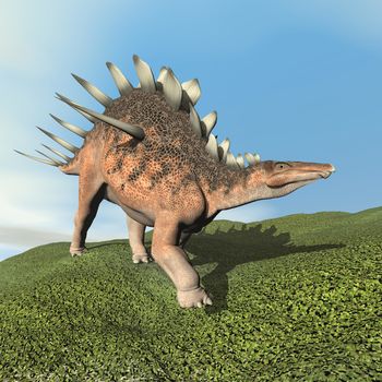 Kentrosaurus dinosaur walking on the grass by day - 3D render