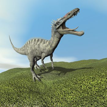 Suchomimus dinosaur roaring while walking on the grass by day - 3D render