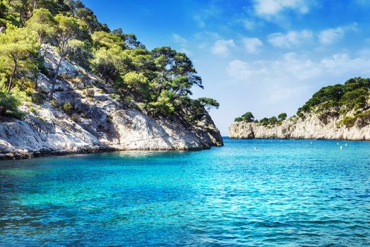 Calanques of Port Pin in Cassis in France near Marseille