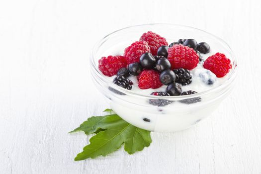 Yogurt with forest berries in bowl white wooden background