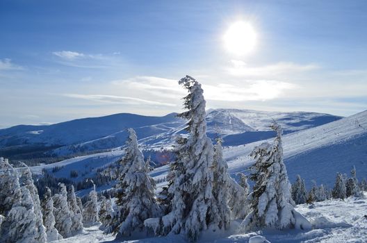 Dragobrat mountain and sky. Ukraine. Zakarpattia Region