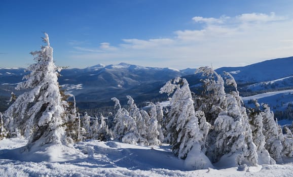 Dragobrat mountain and sky. Ukraine. Zakarpattia Region