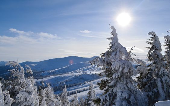 Dragobrat mountain and sky. Ukraine. Zakarpattia Region