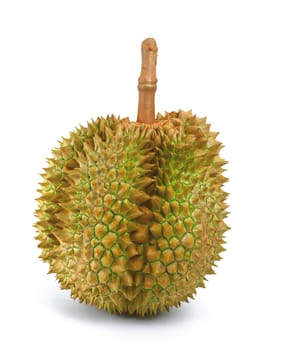 Durian fruit isolated on white