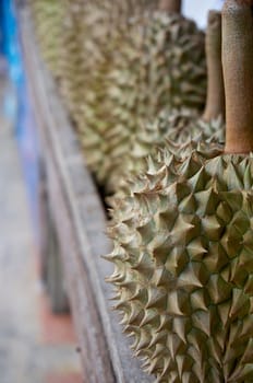 Durian ripe with green bark and spikes on wood table at market.