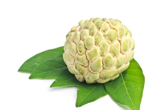 custard apple on white background