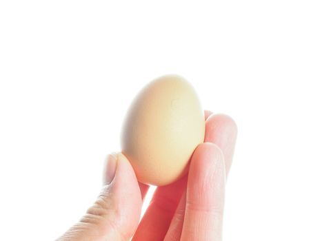 Closeup on farmed brown chicken egg held up by fingers towards white