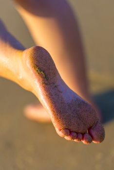 Sandy Female Feet On The Beach By Sunset