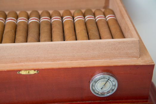 Cuban cigars with handmade wooden box humidifier for store cigars