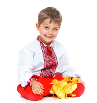 Happy little boy with cute ducklings isolated on white background