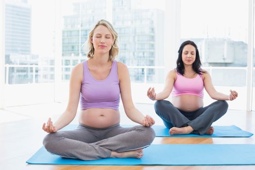 Relaxed pregnant women in yoga class in lotus pose in a fitness studio