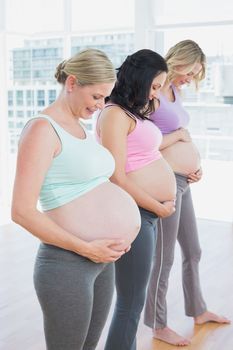 Cheerful pregnant women standing in a line smiling at bumps in a fitness studio