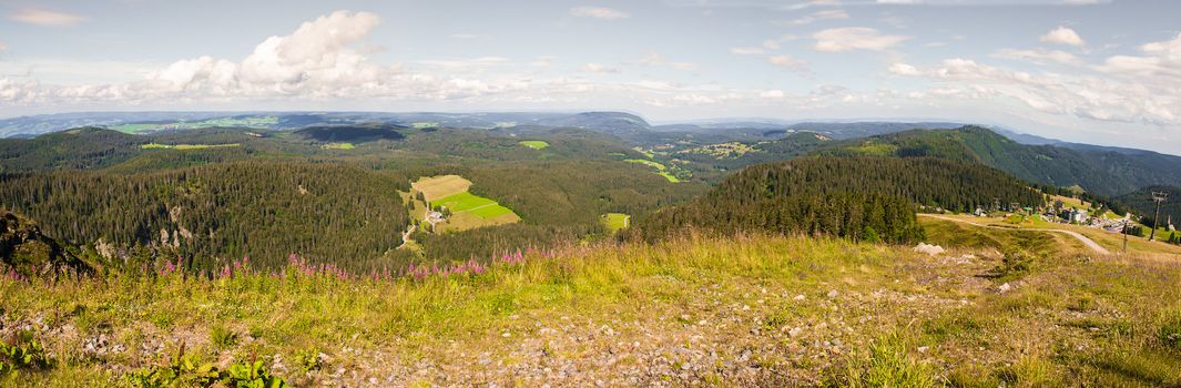 Panorama landscape view over black forest Germany