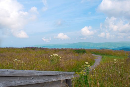 Panorama landscape view over black forest Germany