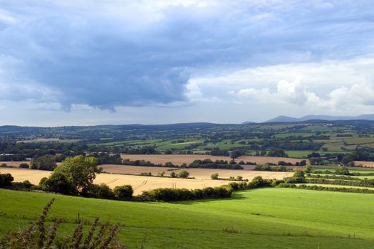 green lush farmland fields and countryside of Ireland