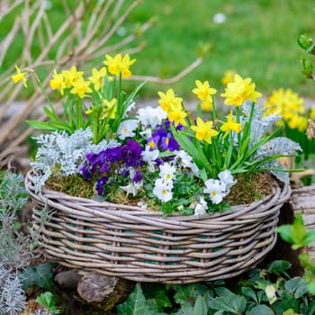 Still Life With A Basket Full Of Spring Flowers In The Garden