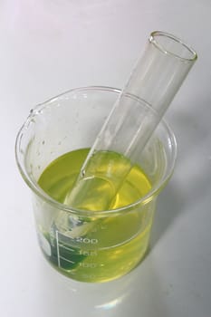 Test tube and beaker with the chlorophyll test in the science subject.