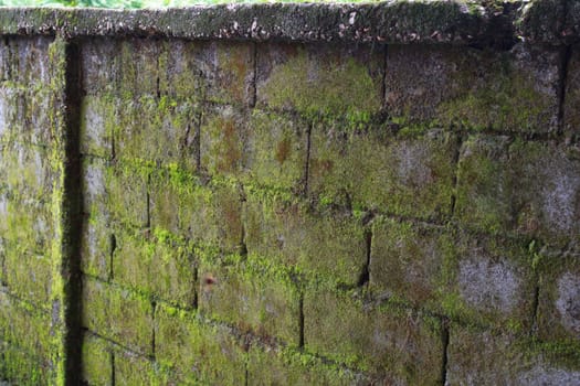 There 's the fence outside my room.It's green.