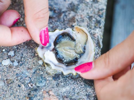 Female person holding an oyster mussel wide open with pink nail paint on concrete floor