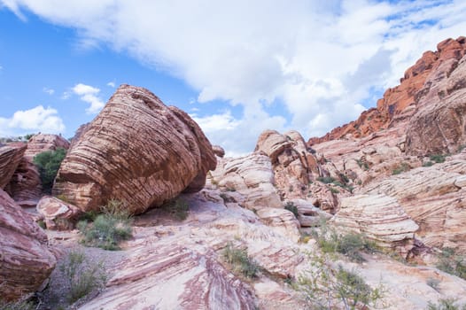  The Red Rock canyon near las vegas , Nevada.