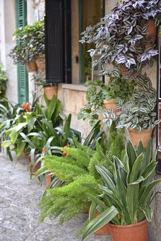 Typical Mediterranean Village with Flower Pots in Facades in Valldemossa, Mallorca, Spain ( Balearic Islands )