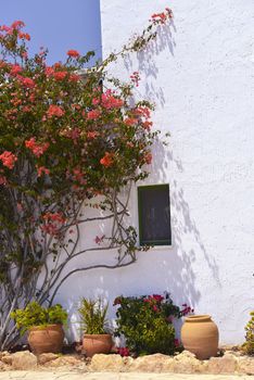 Typical House With Flower Pots in Mallorca, Spain ( Balearic Islands )