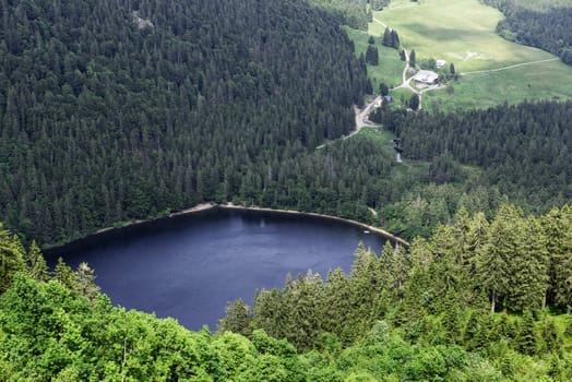 Lake (Feldsee) on the Feldberg, on the highest mountain in Baden-Württemberg, Germany
