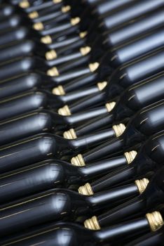 Many of Wine Bottles In A Row