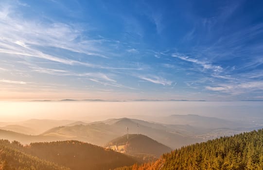 The Black-forest from a look-out tower