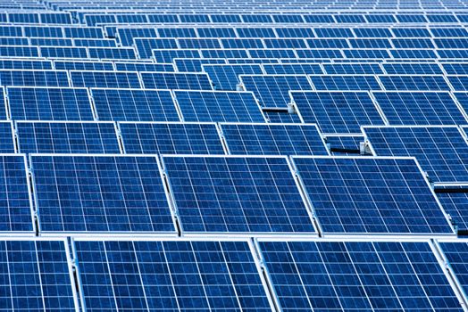 Field of Photovoltaic Solar Panels For Renewable Electrical Energy Production