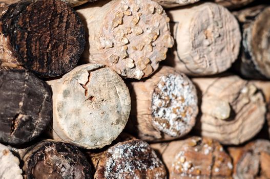 Wine Acid Falls Out in Old Bottles and Turns Into Crystals on the Corks and in the Wine