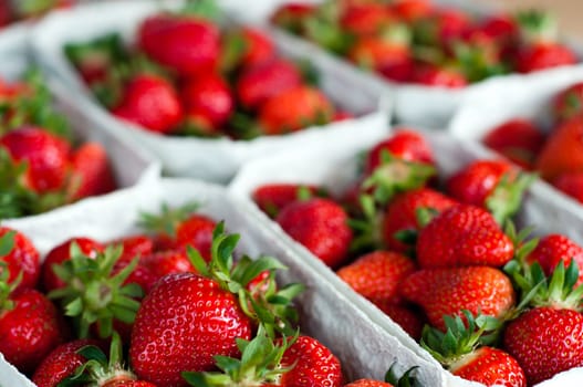 Fresh Picked Strawberries at the market