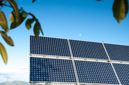 Solar Panel with Green Leaves Against Blue Sky