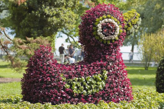 Flower animals, island Mainau, Lake of Constance, Germany