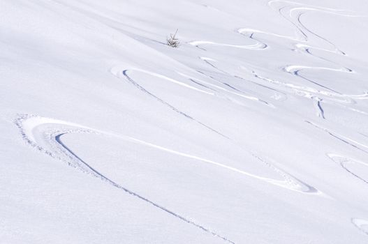 freeride tracks on powder snow in the mountains