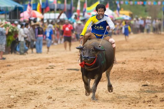 PATTAYA - AUGUST 17: Participant at the Buffalo Racing Festival of Nong Prue City at Mab Prachan Reservoir in Pattaya, Thailand on August 17, 2014.