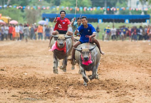 PATTAYA - AUGUST 17: Participants at the Buffalo Racing Festival of Nong Prue City at Mab Prachan Reservoir in Pattaya, Thailand on August 17, 2014.