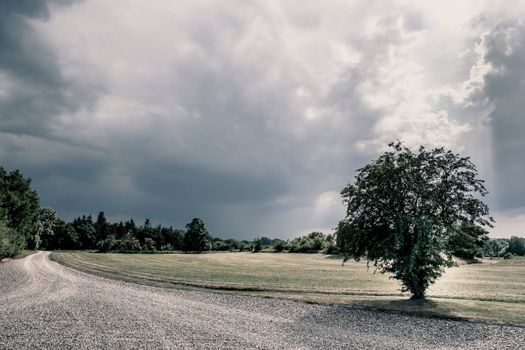 Green fields and cloudy weather