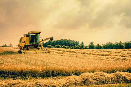 Big harvester machine on a countryside field